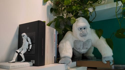 Customer photo review of Snowflake Albino gorilla Plush – Realistic and Huggable Stuffed Animal