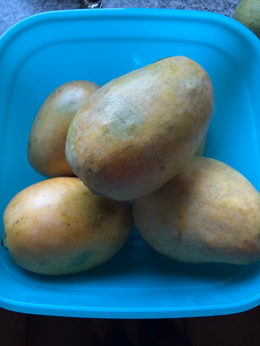 Customer photo review of Mango Mingolo baumgereift Sonderaktion % 2kg Box