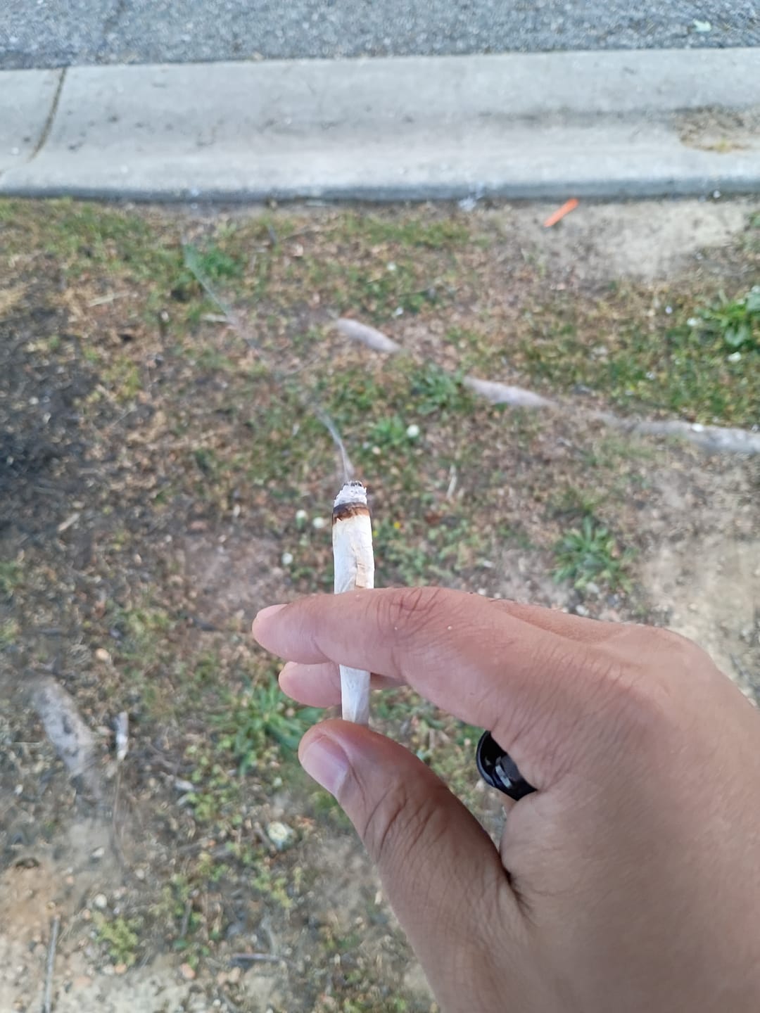 Customer photo review of Oreoz - Hybrid