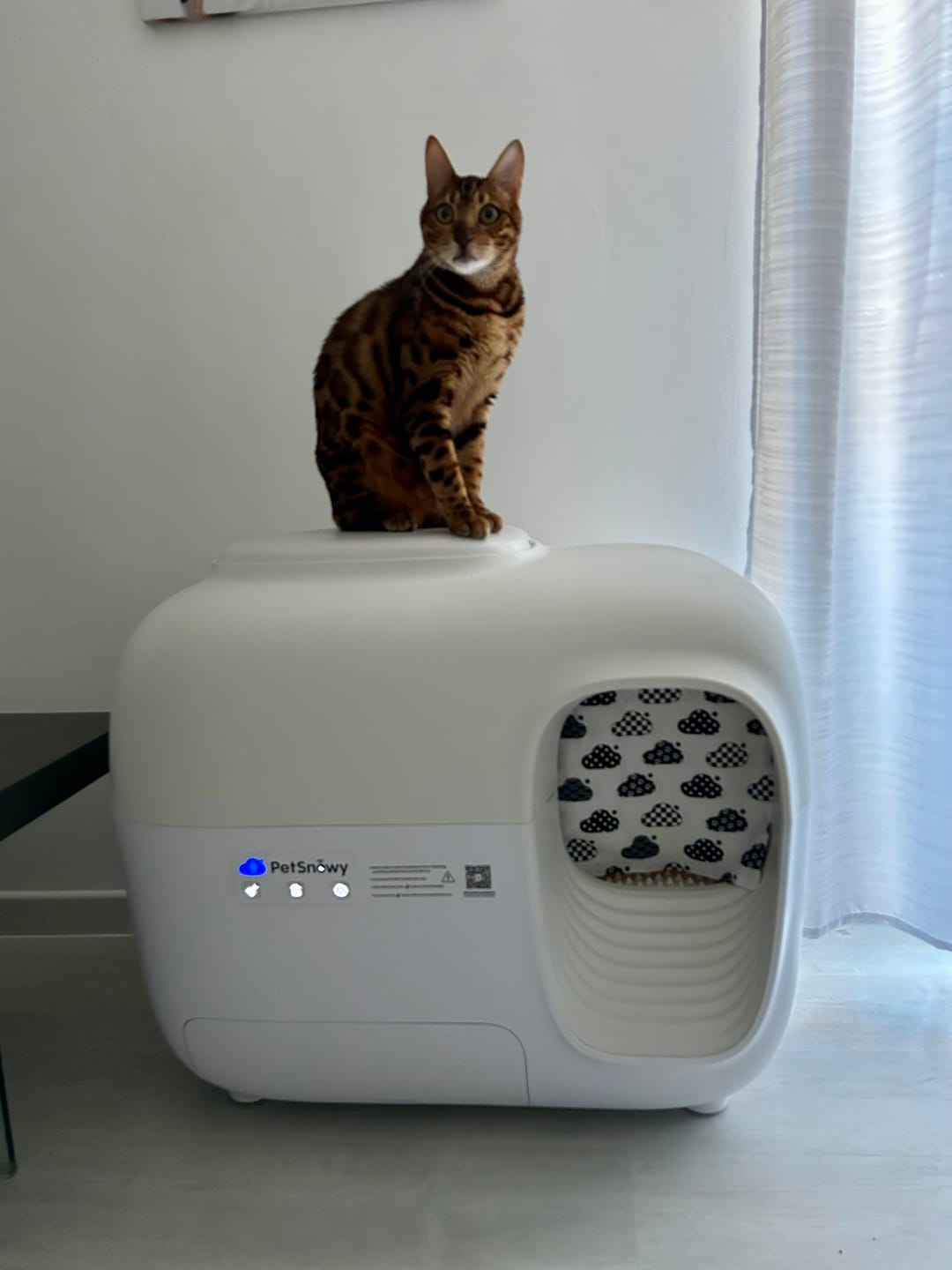Customer photo review of Self-Cleaning Litter Box