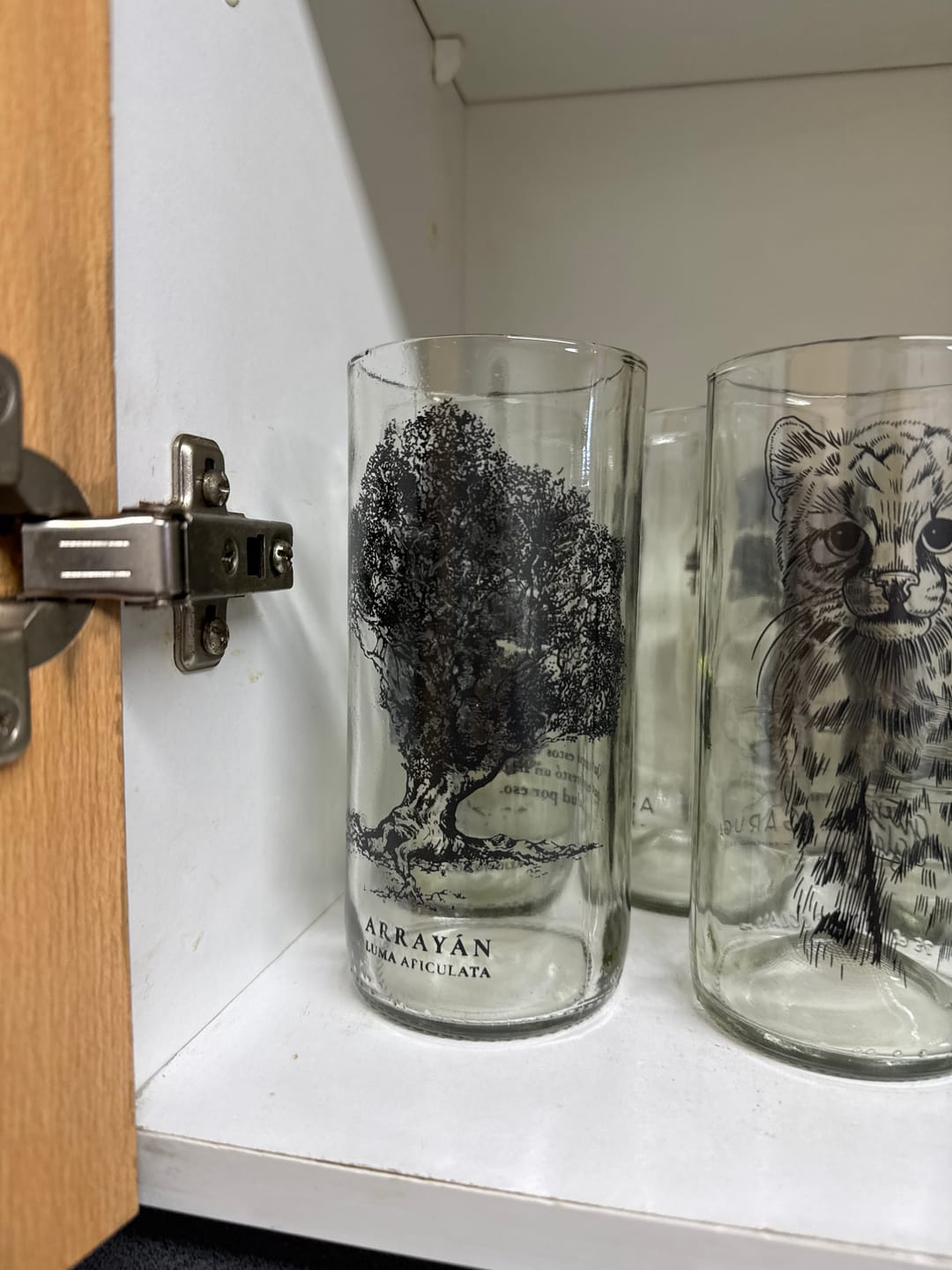 Customer photo review of Árboles de Chile - Juego de 6 Vasos - 500 ml