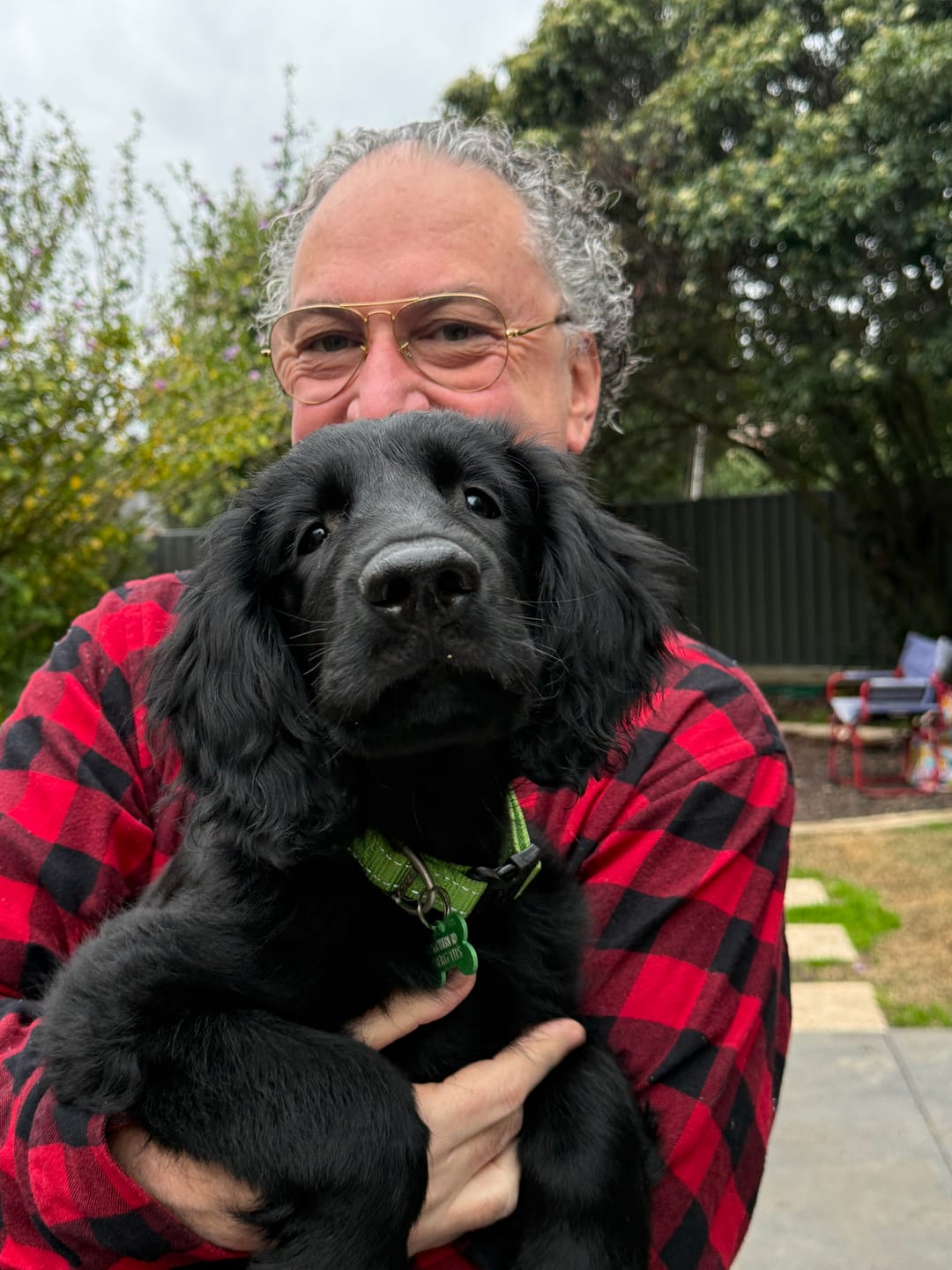 Customer photo review of Rogz Utility Classic Collar