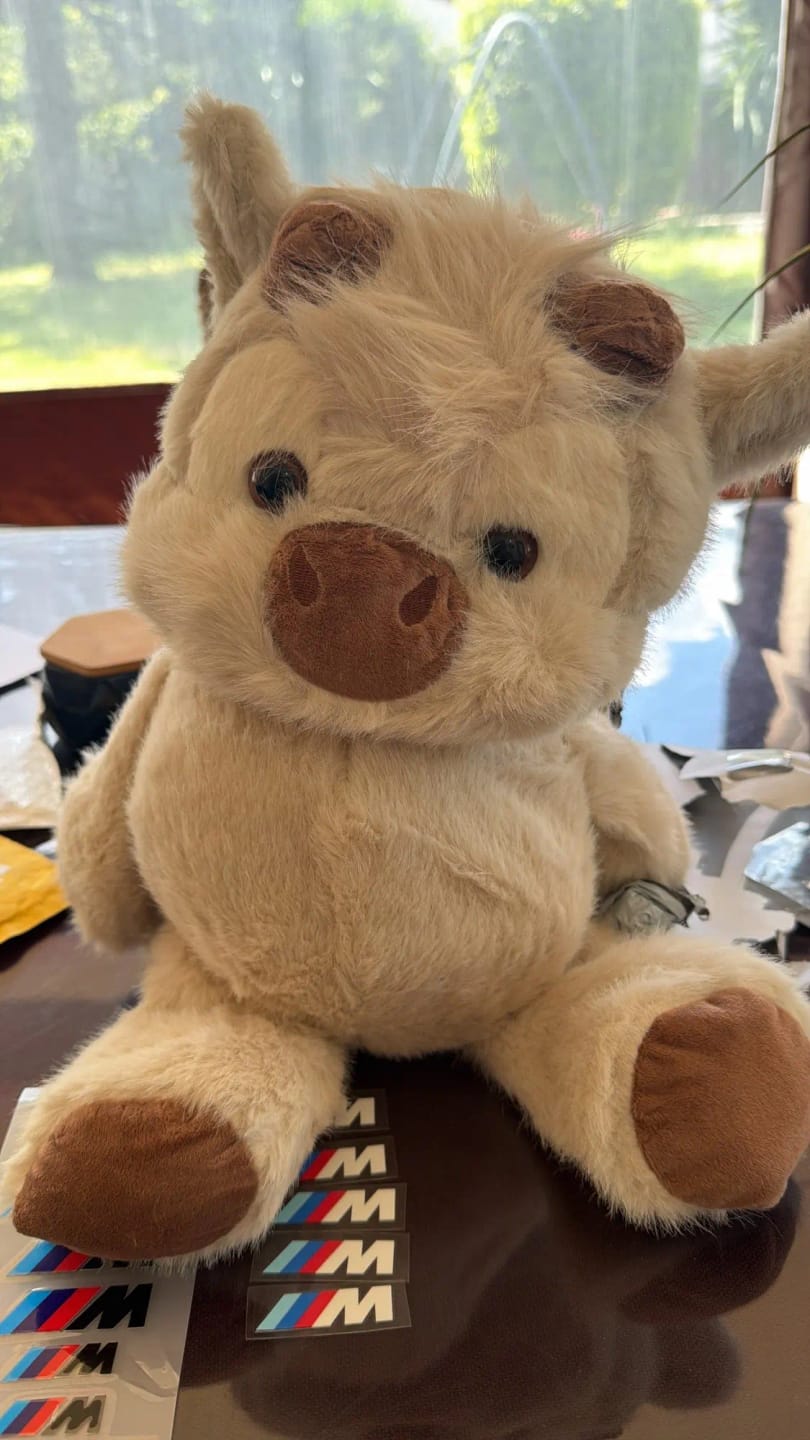 Customer photo review of Coco-Hug™ El peluche que corre