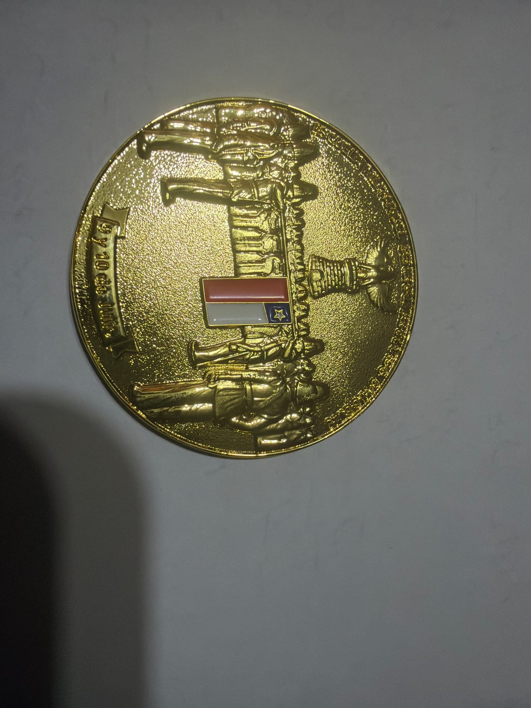 Customer photo review of Moneda Juramento a la Bandera – Escuela Militar con Penachos