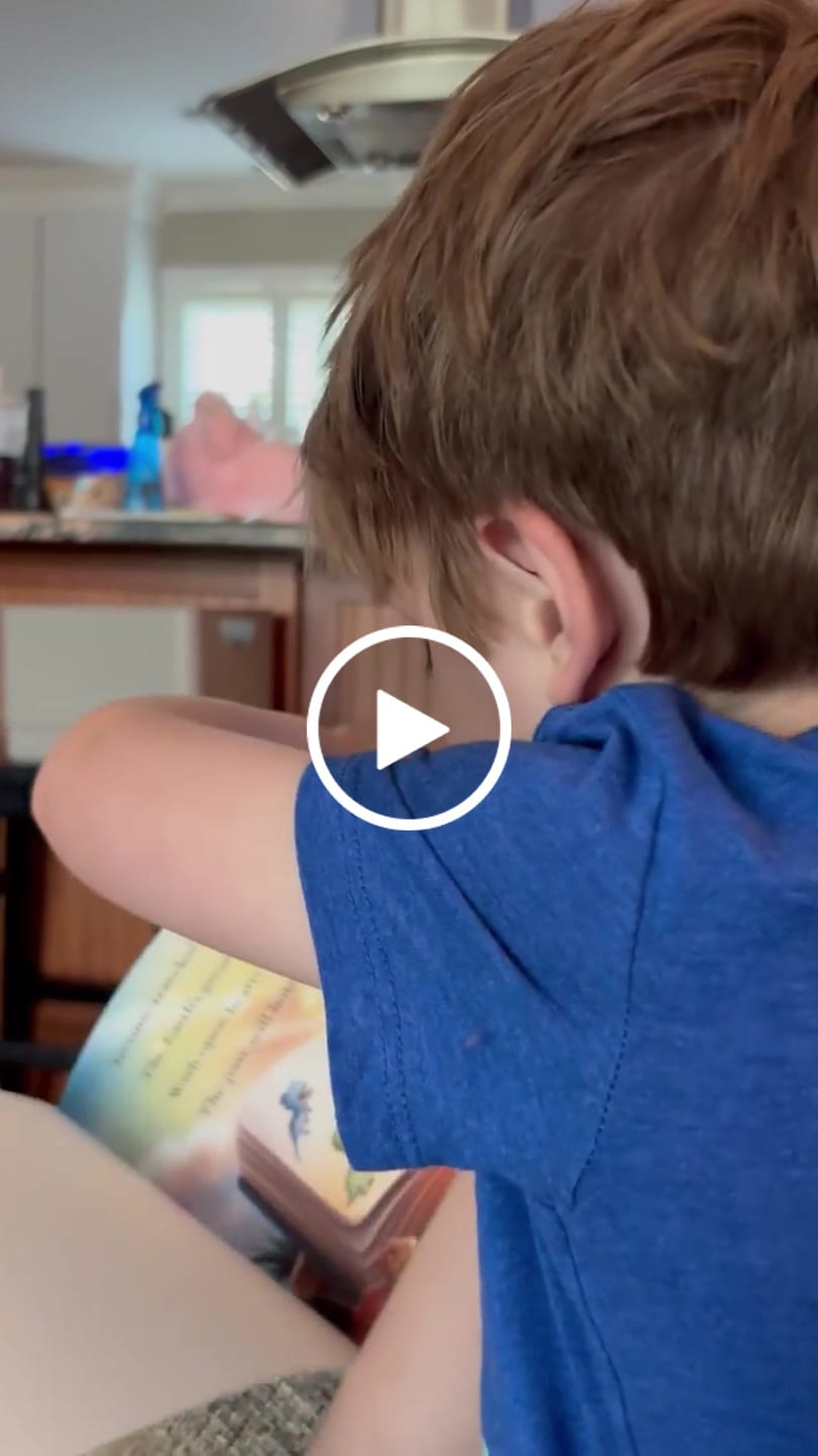 Customer video review of The World of Dinosaurs