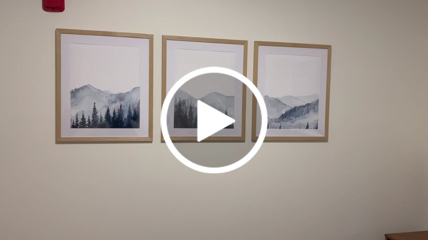 Customer video review of Watercolor Mountain Landscape Wall Art Posters