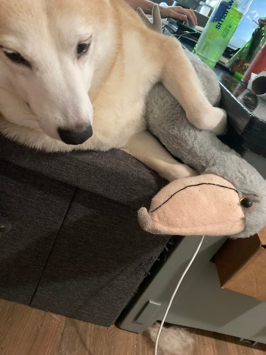Customer photo review of Shoebill Stork Bird Soft Stuffed Plush Toy