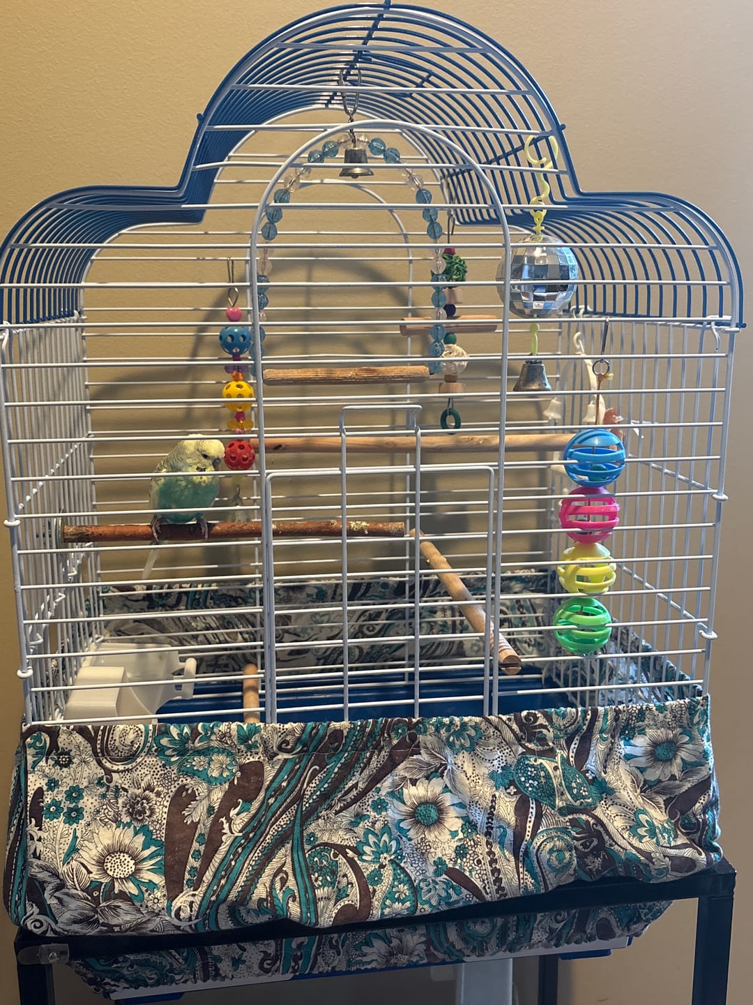 Customer photo review of Kings Cages ES 1814 T Triple Top Bird Cage (Single Cage)