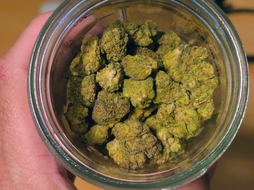Customer photo review of Sharpiez THCA Flower