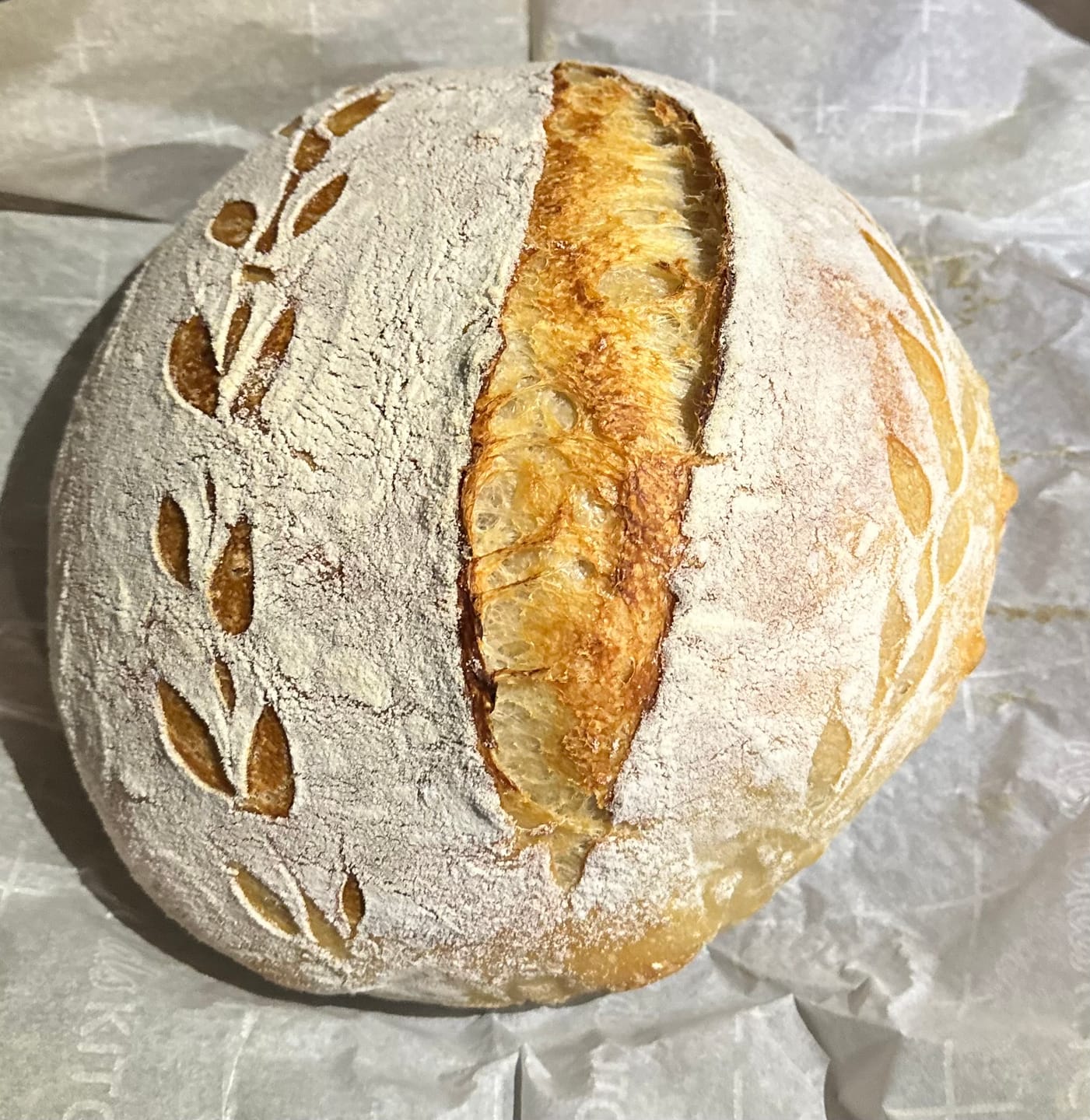Customer photo review of Sourdough Starter (Dehydrated)