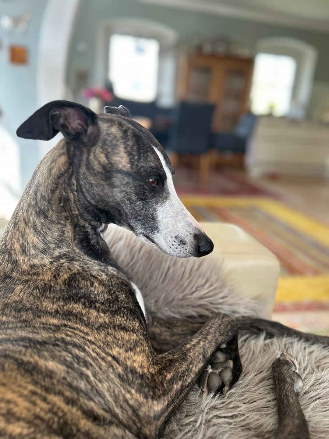 Customer photo review of Wurmtest Plus Hund Sparpaket
