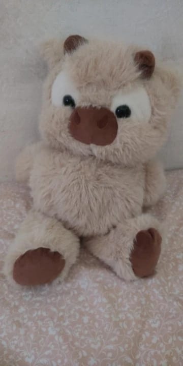 Customer photo review of Coco-Hug™ El peluche que corre