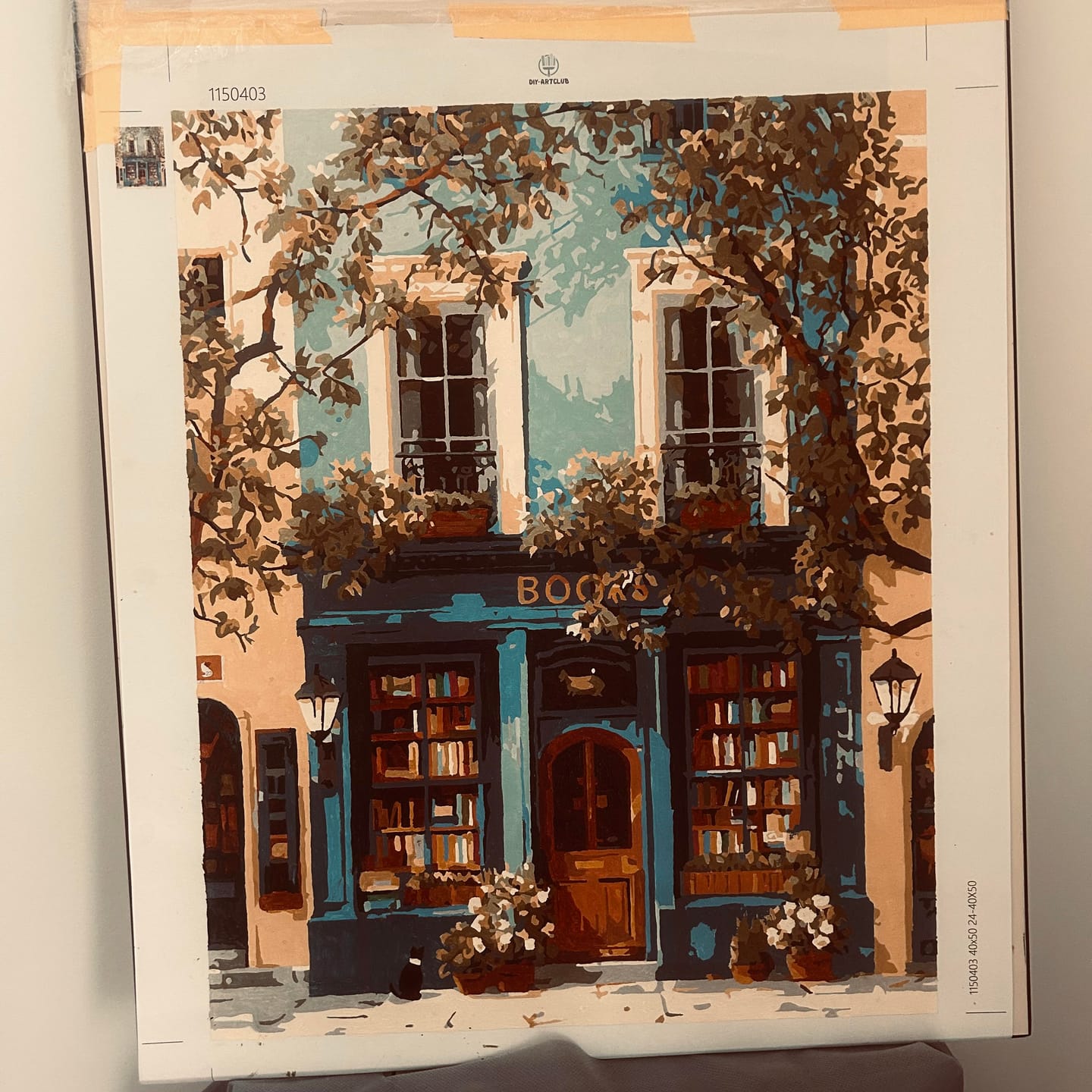 Customer photo review of The Blue Bookshop | Paint by Number