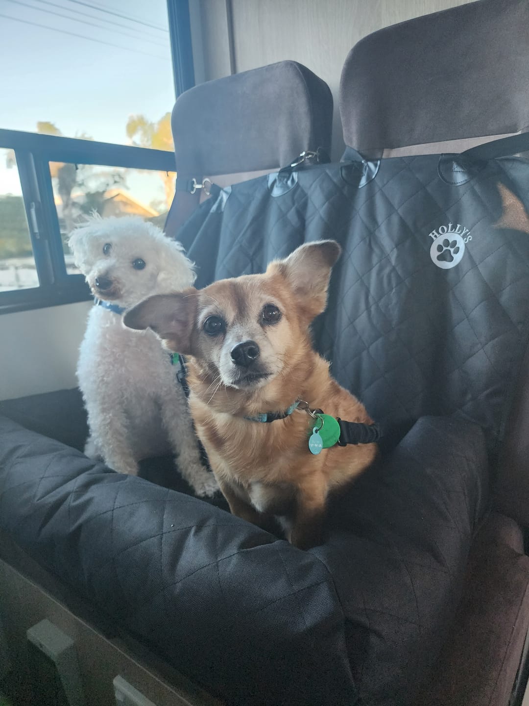 Customer photo review of Car Seat Cover
