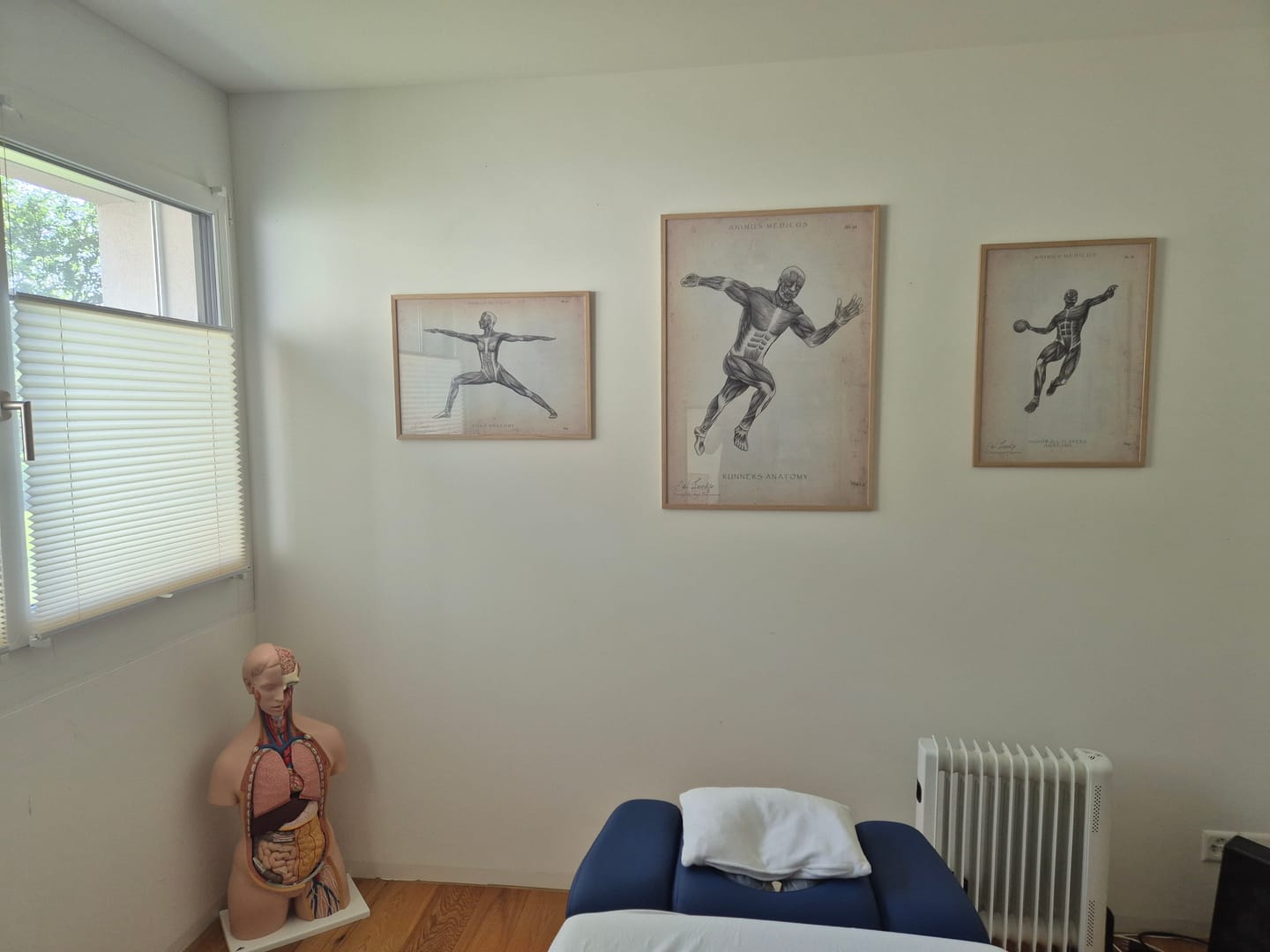 Customer photo review of Handball Anatomie Poster