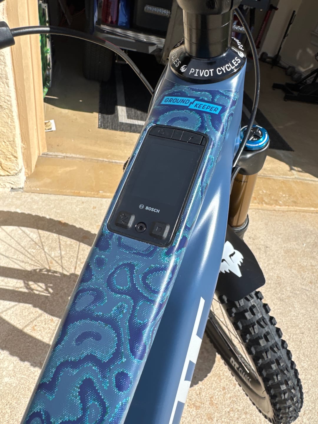 Customer photo review of Snake Charmer Frame Keeper