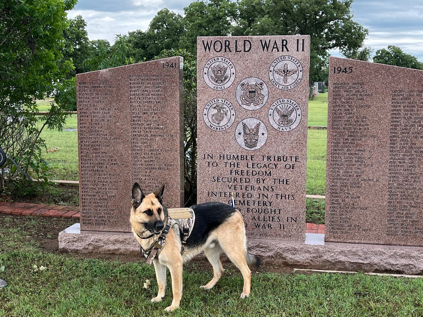 Customer photo review of NEW Upgraded Tactical No-Pull Team K9™ Dog Harness with 4 Quick-Release Metal Buckles, Reinforced Front & Back V-Rings, Hook & Loop Panels, Adjustable Straps, Reflective Strips, & Top Handle