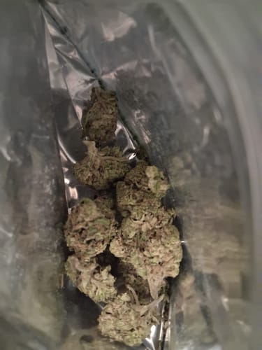 Customer photo review of Gorilla Glue THCA Flower
