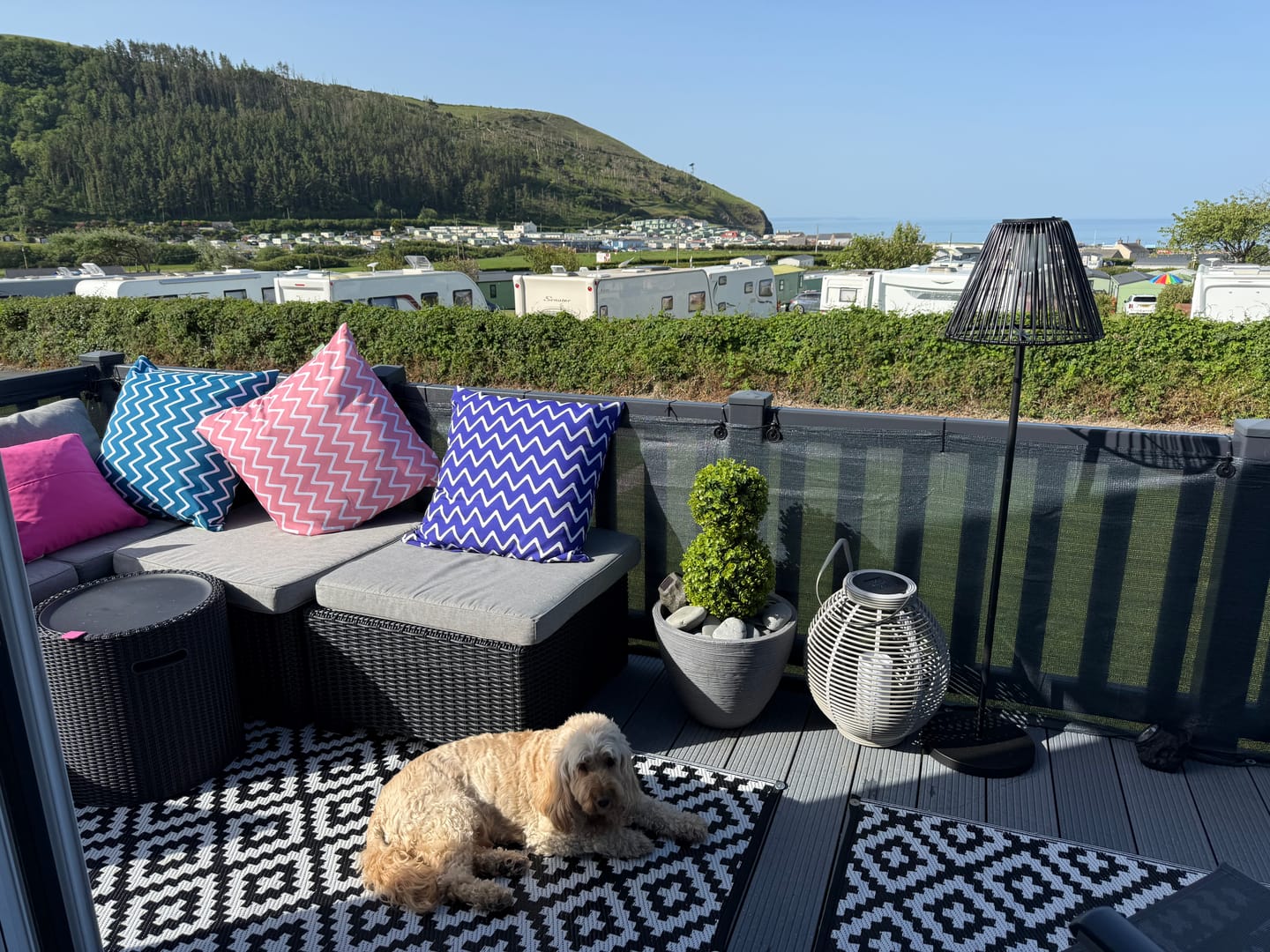 Customer photo review of Arabesque Zig Zag Garden Scatter Cushions 60x60cm