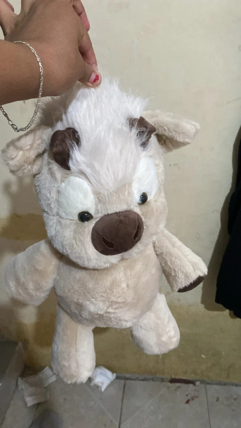 Customer photo review of Coco-Hug™ El peluche que corre