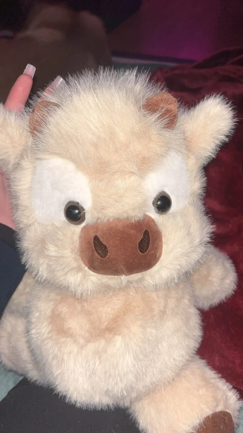 Customer photo review of Coco-Hug™ El peluche que corre
