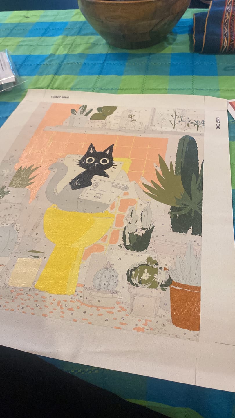 Customer photo review of Surprise Painting | Paint by Numbers