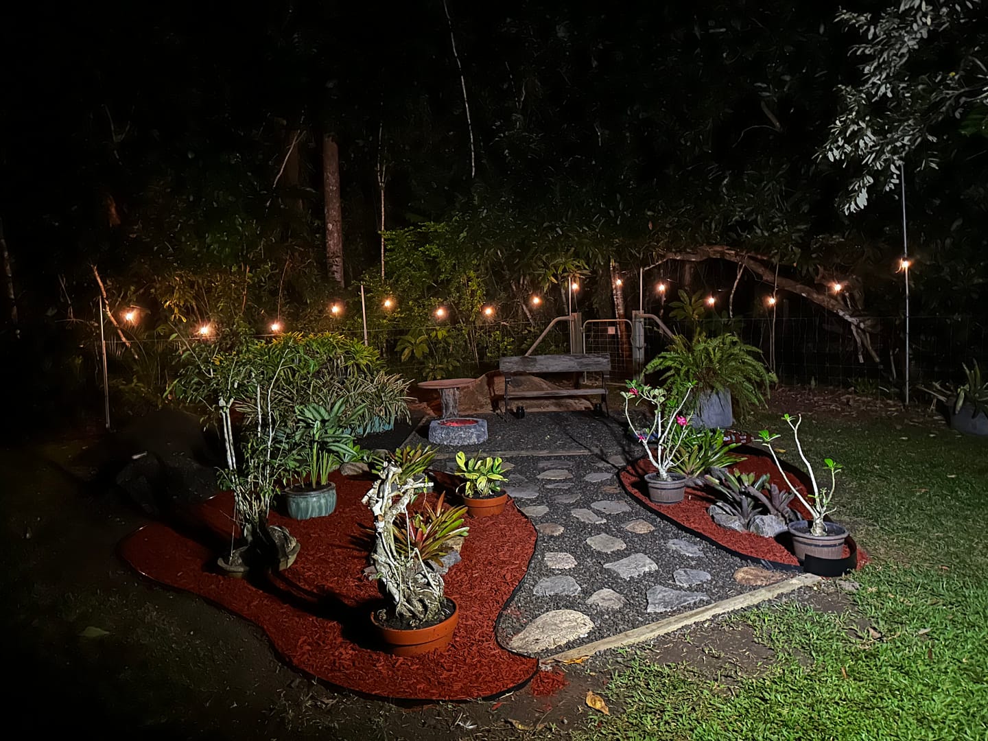 Customer photo review of SolaGarden™ Festoon Lights