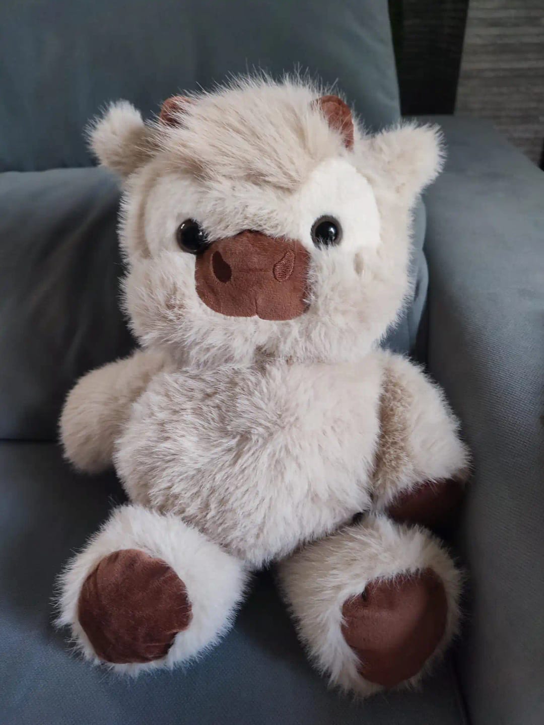 Customer photo review of Coco-Hug™ El peluche que corre