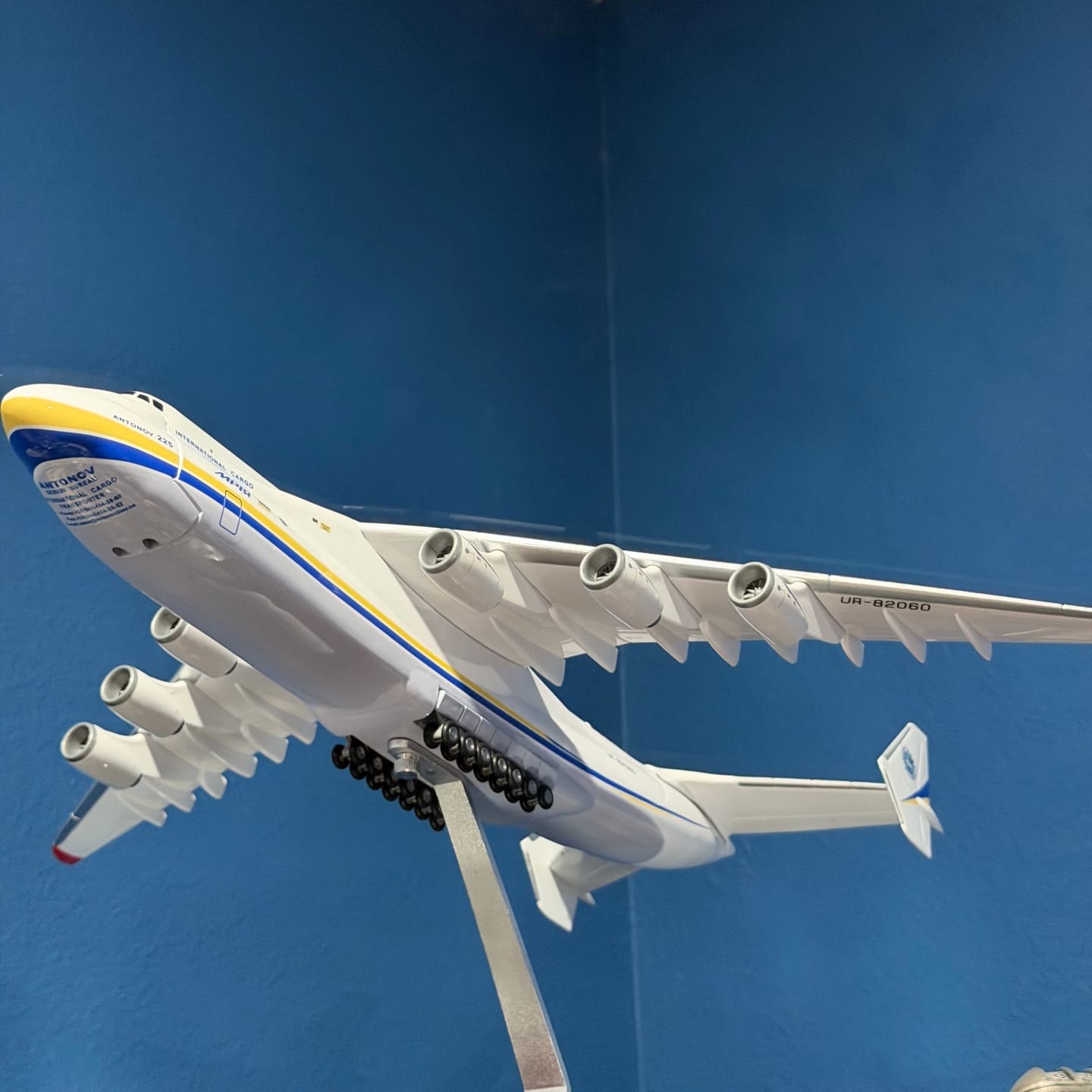 Customer photo review of Antonov AN-225 Mriya Collectible - 16.5" - 42cm - Premium Display Model