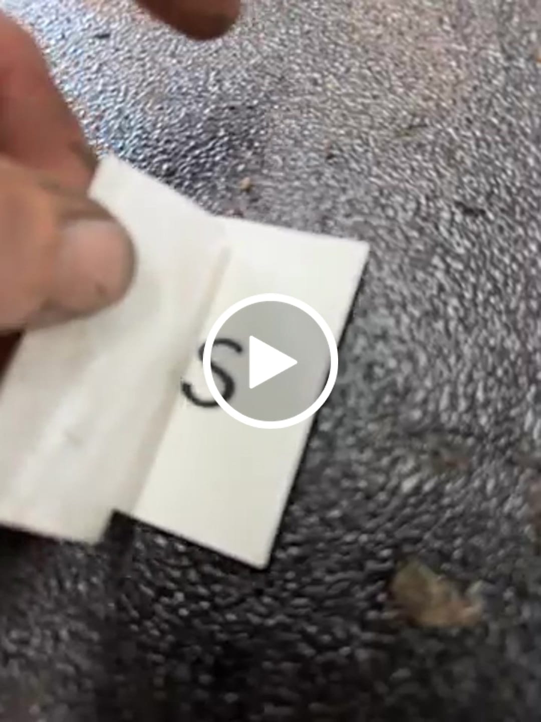 Customer video review of Red/White Motion Raceworks Decal 12"x3"