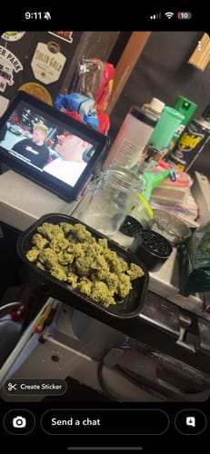 Customer photo review of THCA Queen