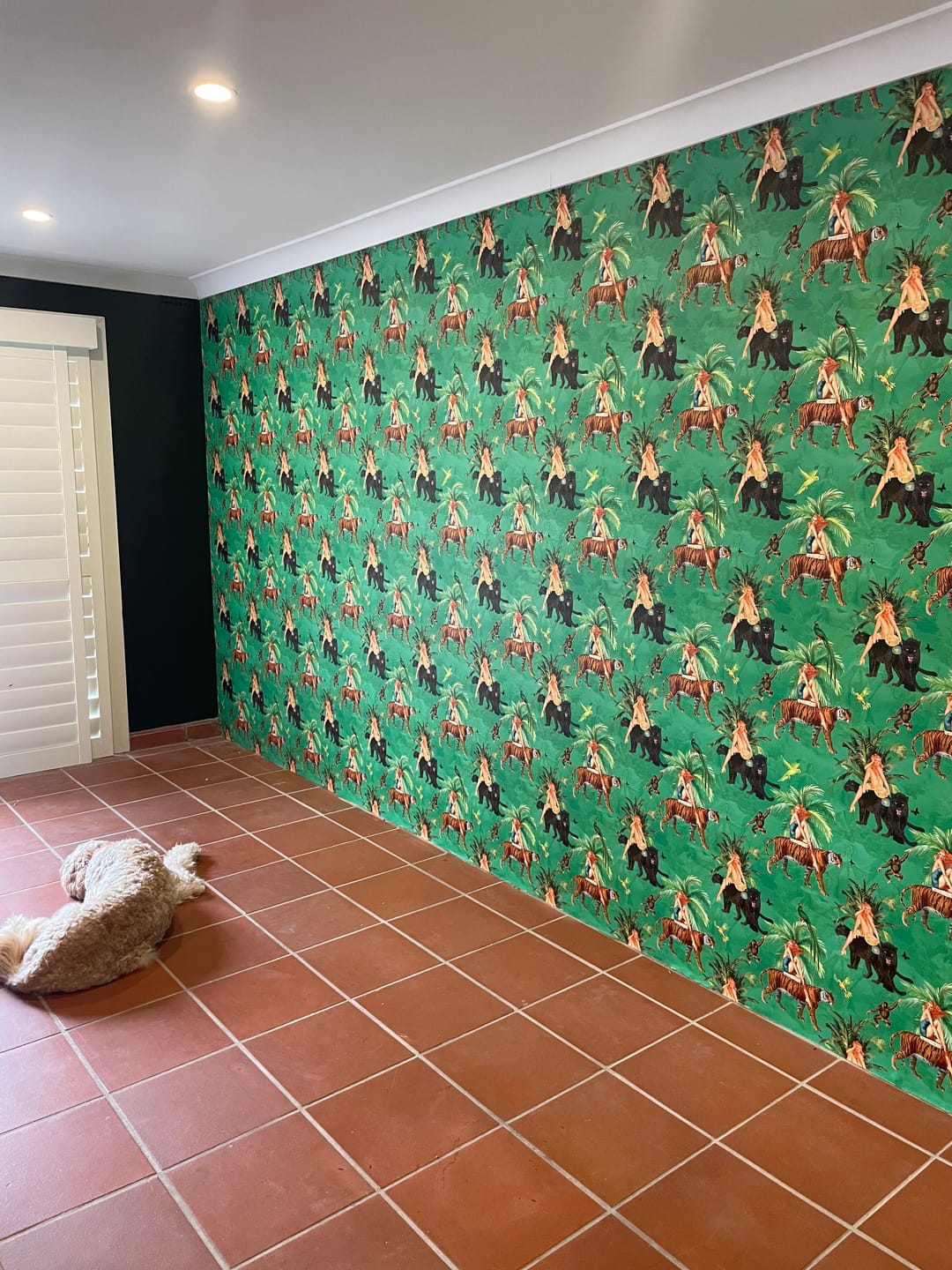 Customer photo review of Jungle Walk Green Vintage Wallpaper