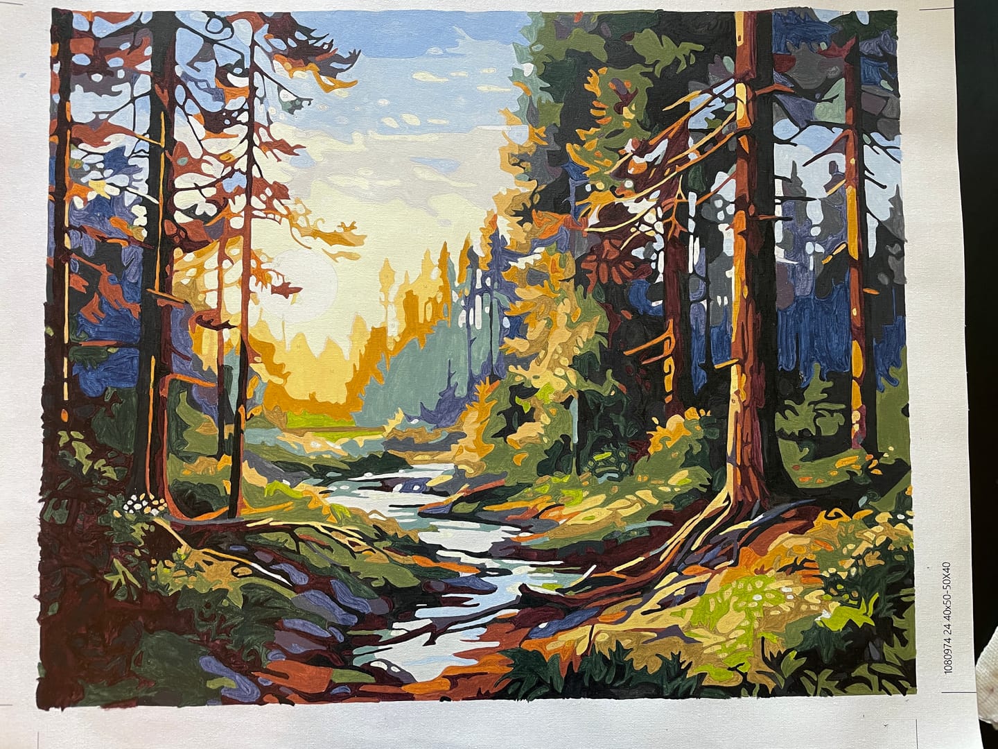 Customer photo review of Sunlit Tranquility
