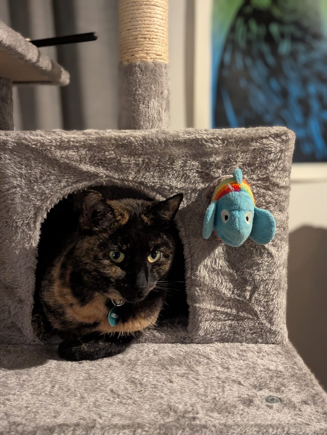 Customer photo review of Large Grey Cat Tower (154cm) – Multi-Level Play House