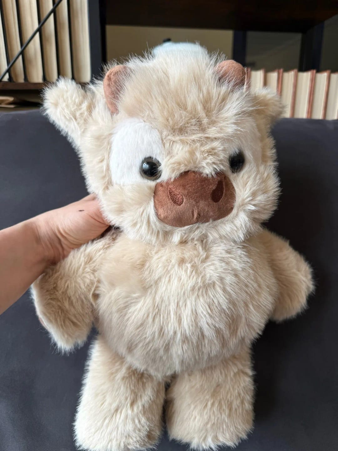 Customer photo review of Coco-Hug™ El peluche que corre