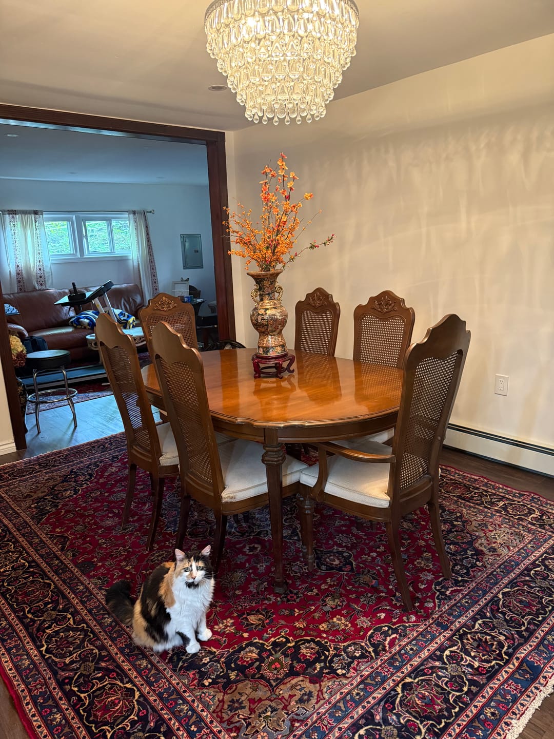 Customer photo review of Traditional Persian Rug 8x11, Red Navy Blue, Floral Medallion, Antique Persian Mashad Carpet, Wool