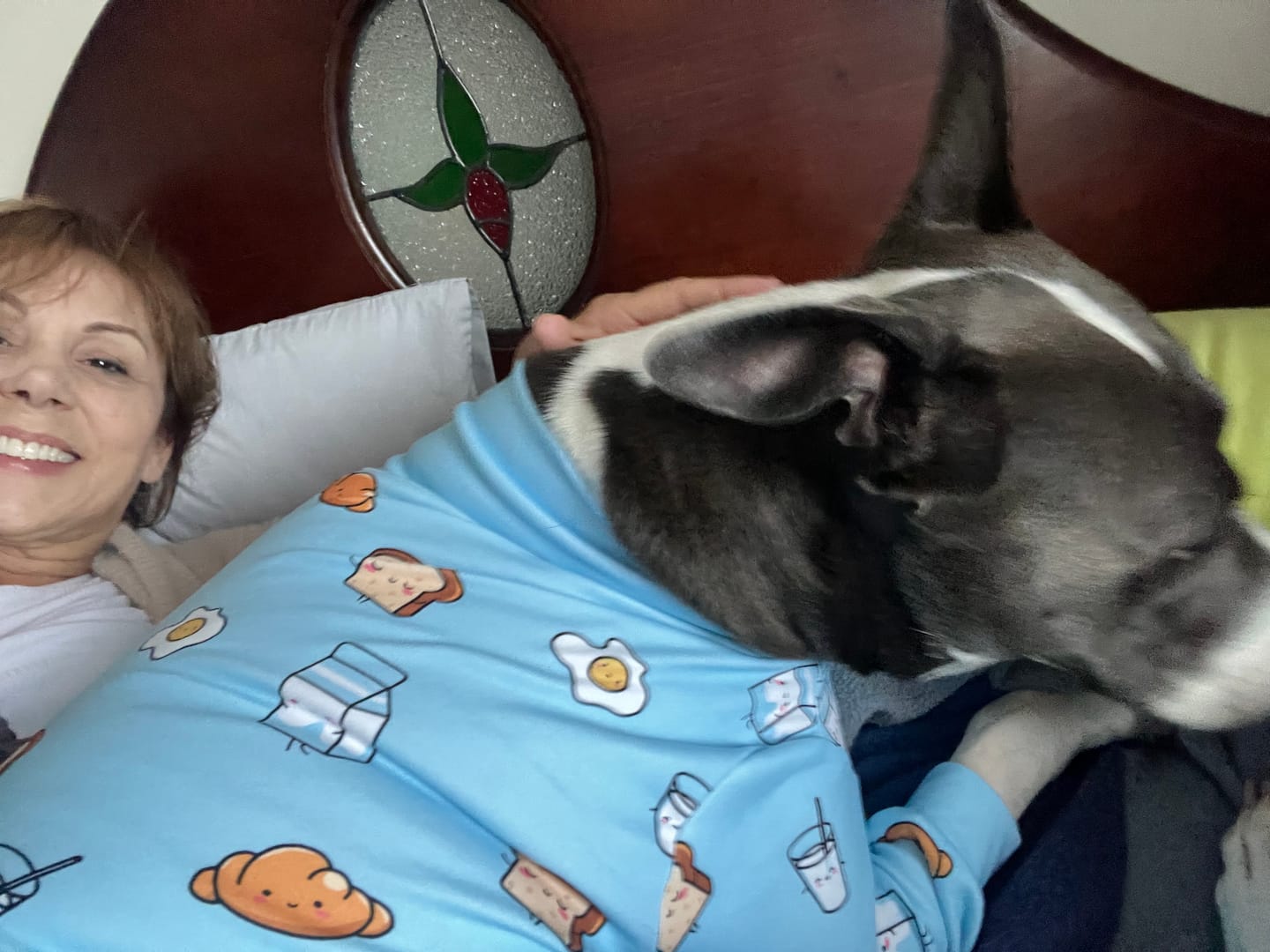 Customer photo review of Dog Pajama - Breakfast Blue