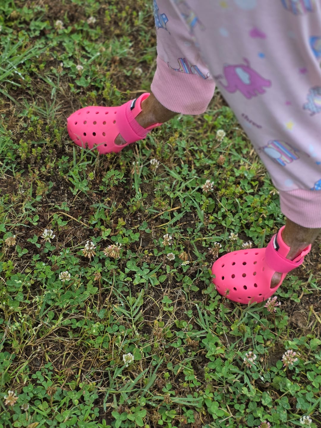 Customer photo review of WagWellie® Mojave Single