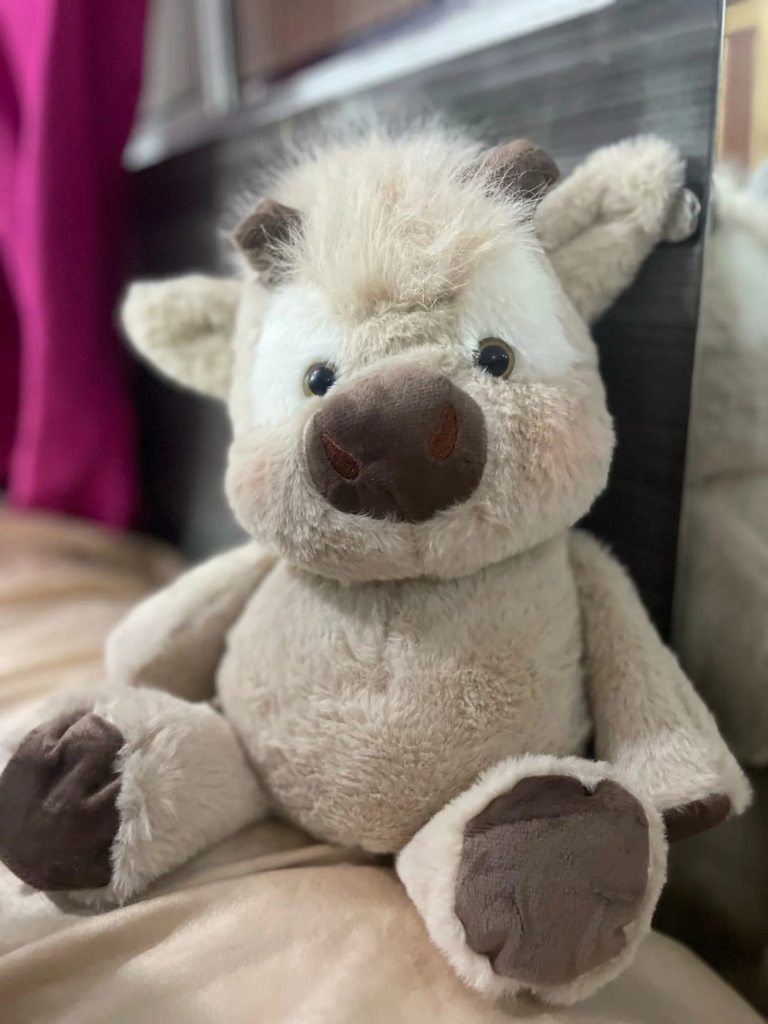 Customer photo review of Coco-Hug™ El peluche que corre