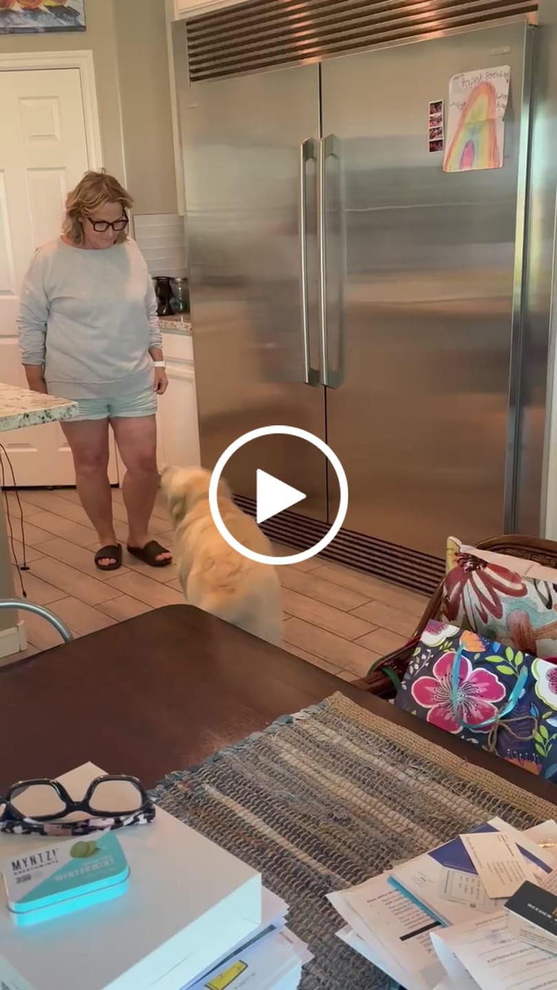 Customer video review of Freezball - Durable Fillable Dog Chew Bone