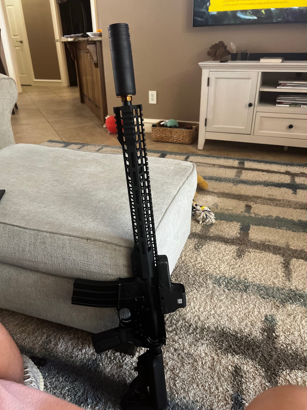 Customer photo review of TriggerSupply Silent H2 Buffer & Spring System — AR-15