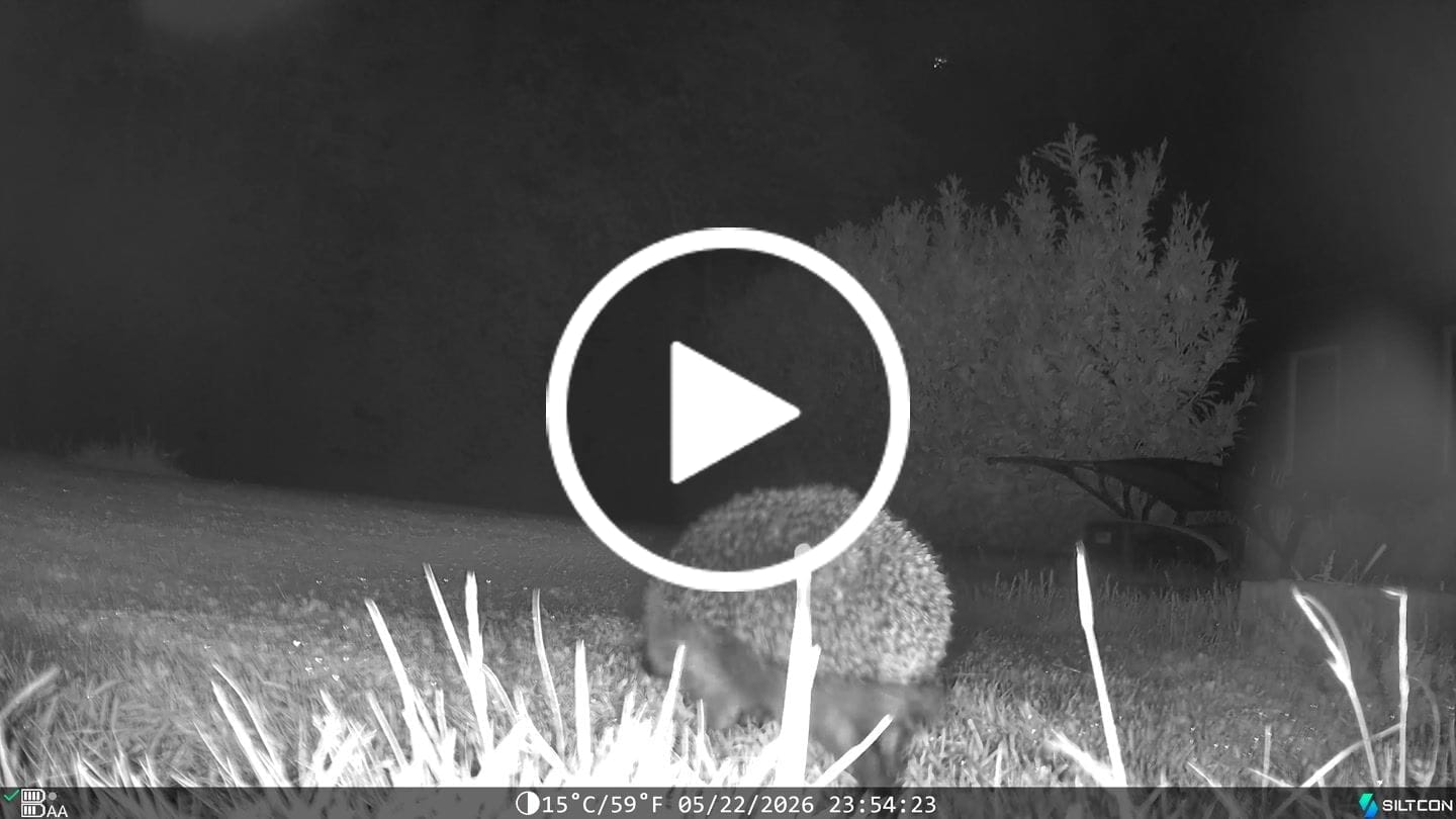 Customer video review of Siltcon® Wildcamera met Zonnepaneel 8K