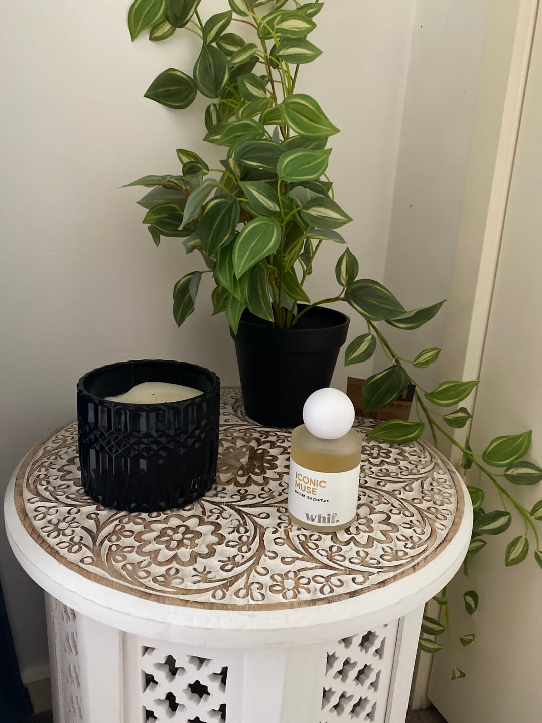 Customer photo review of Iconic Muse
