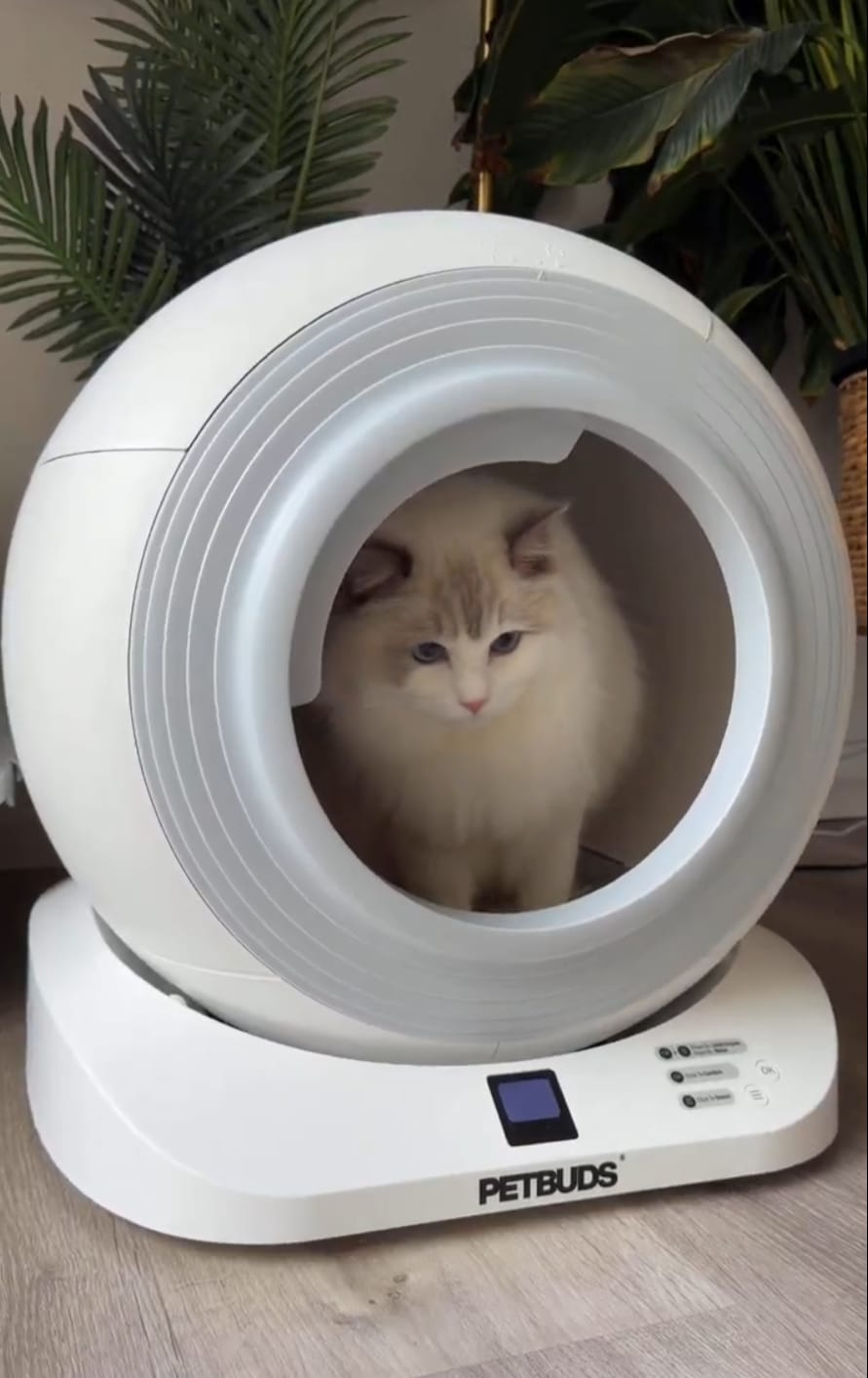 Customer photo review of The Petbuds Tonepie Q-CLEAN Automatic Self-Cleaning Litter Box