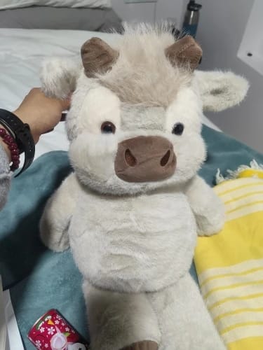 Customer photo review of Coco-Hug™ El peluche que corre