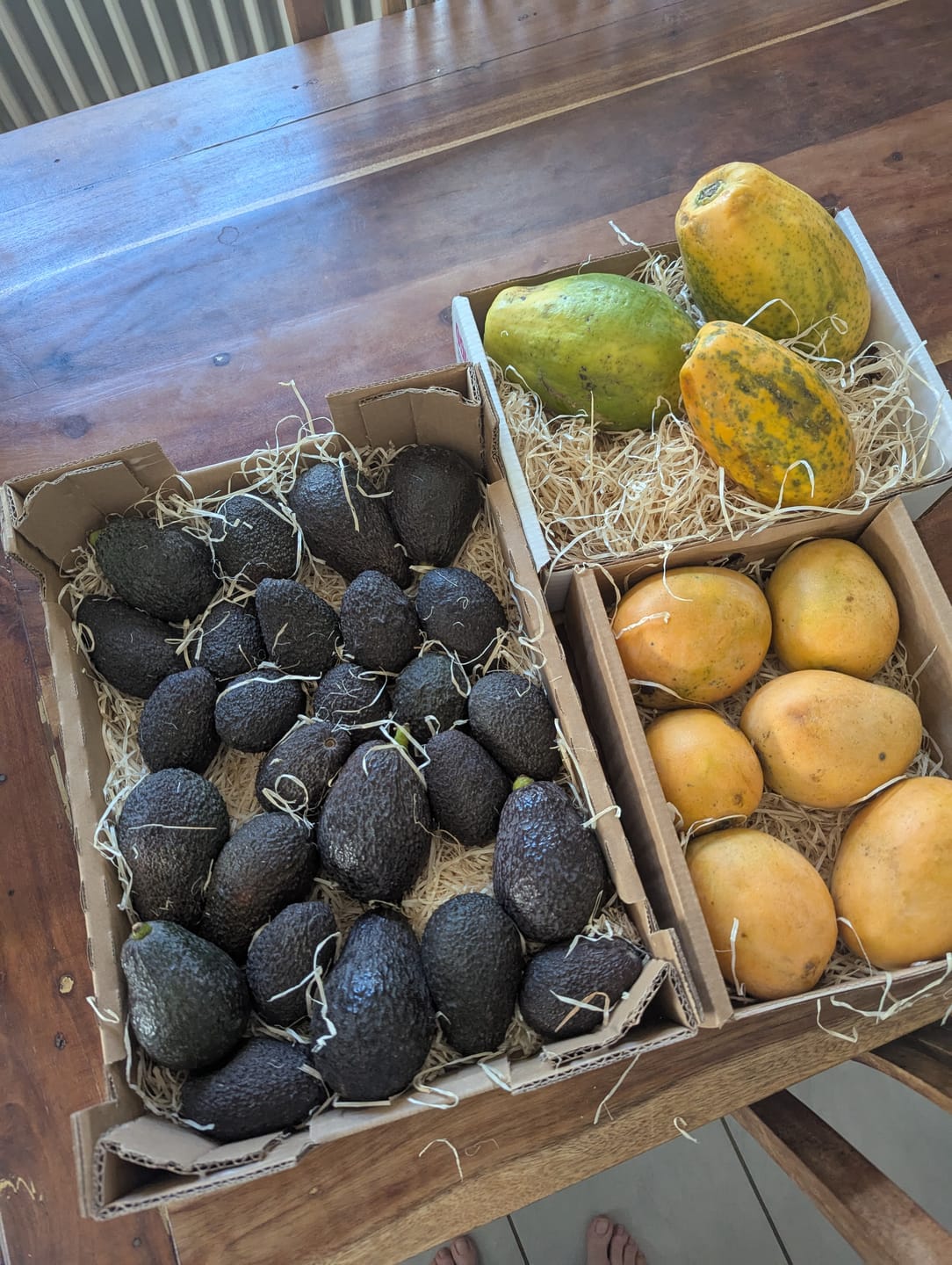 Customer photo review of Mango Mingolo baumgereift Sonderaktion % 2kg Box