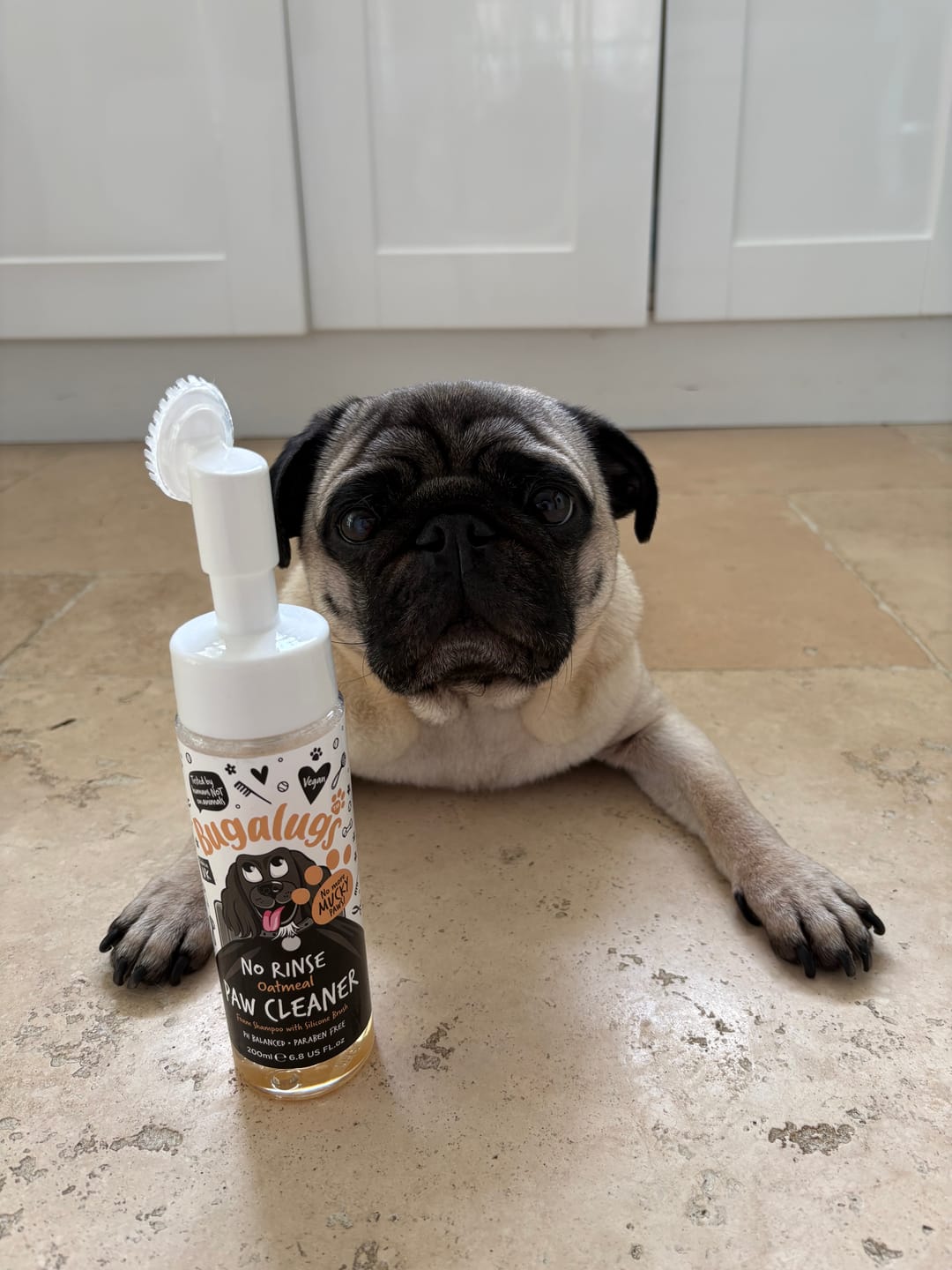 Customer photo review of Oatmeal No-Rinse Paw Cleaner for Dogs & Cats