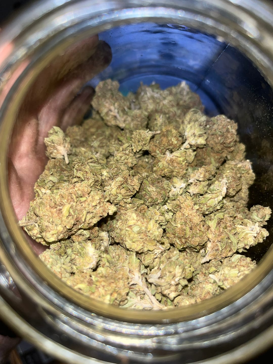Customer photo review of Pure Michigan Greenhouse THCA