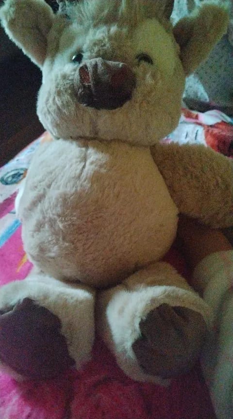 Customer photo review of Coco-Hug™ El peluche que corre