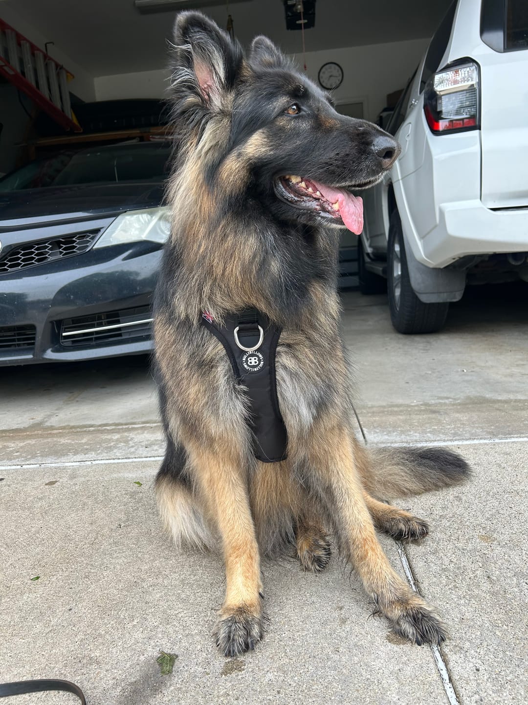 Customer photo review of Anti Pull Hurricane Harness Lighter | With Handle - Black